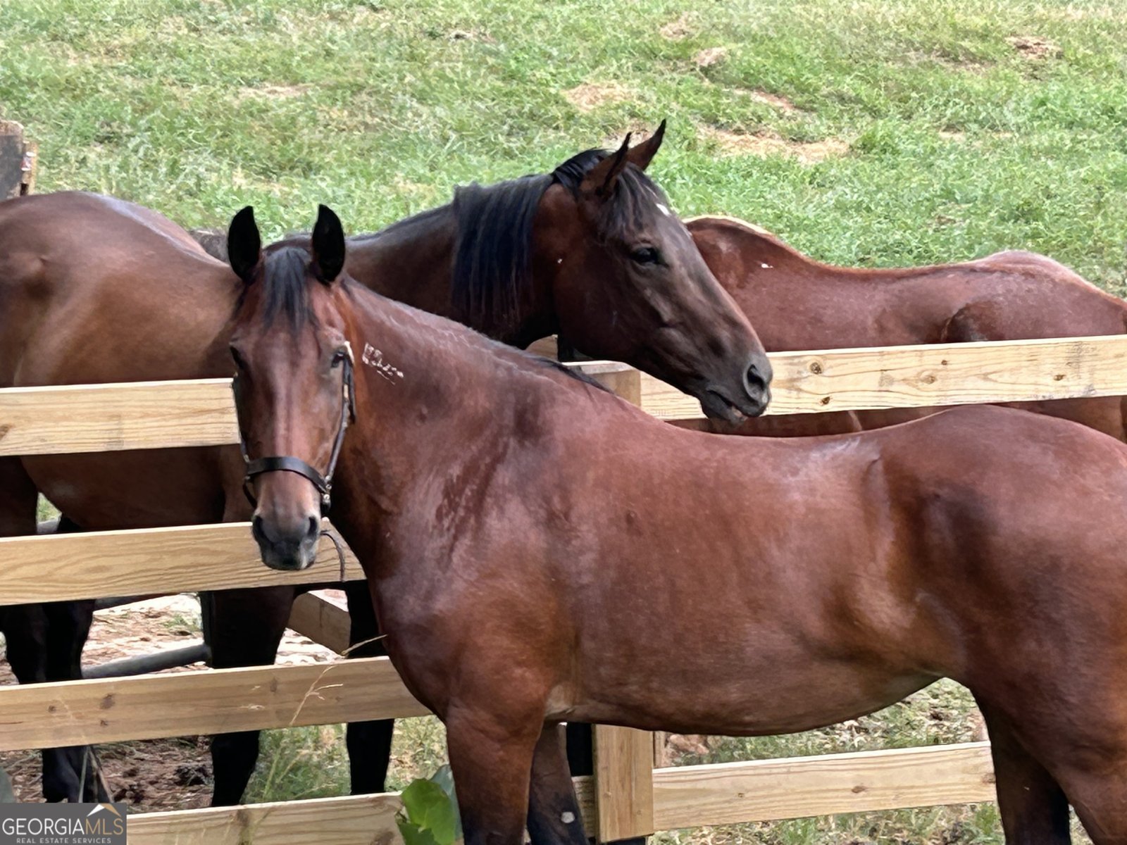 1654 A Ward Mountain Road Rome - 35