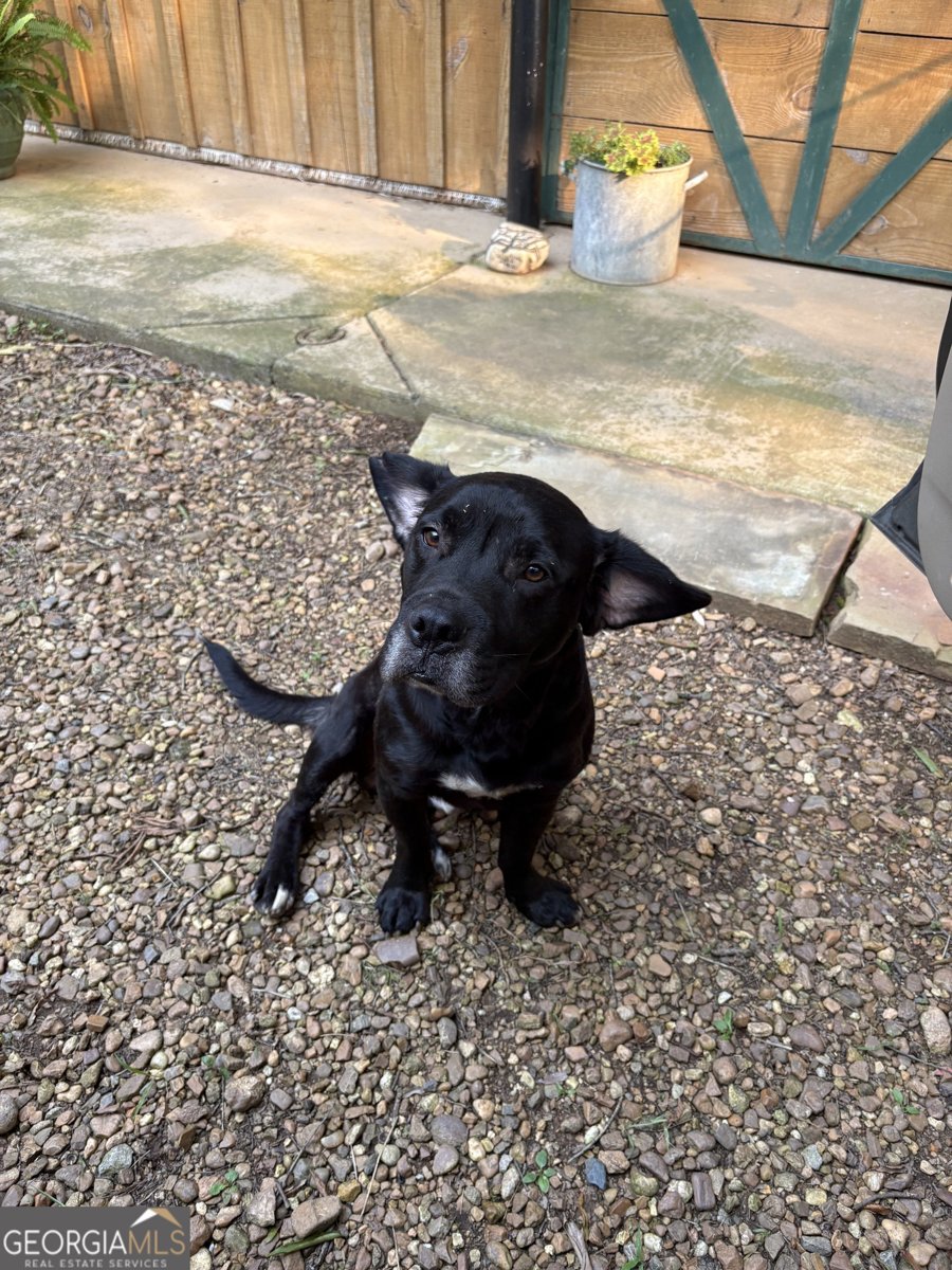 1654 A Ward Mountain Road Rome - 37