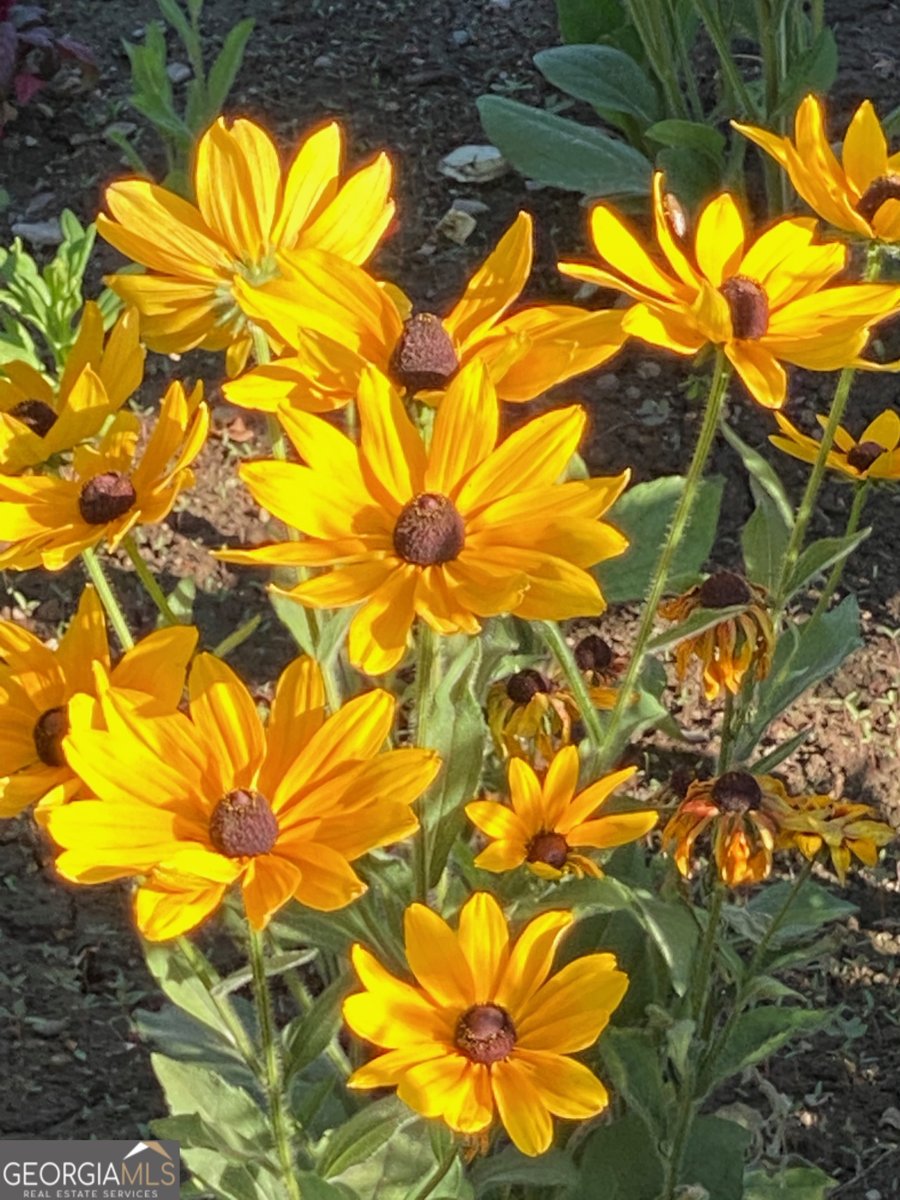 1654 A Ward Mountain Road Rome - 40