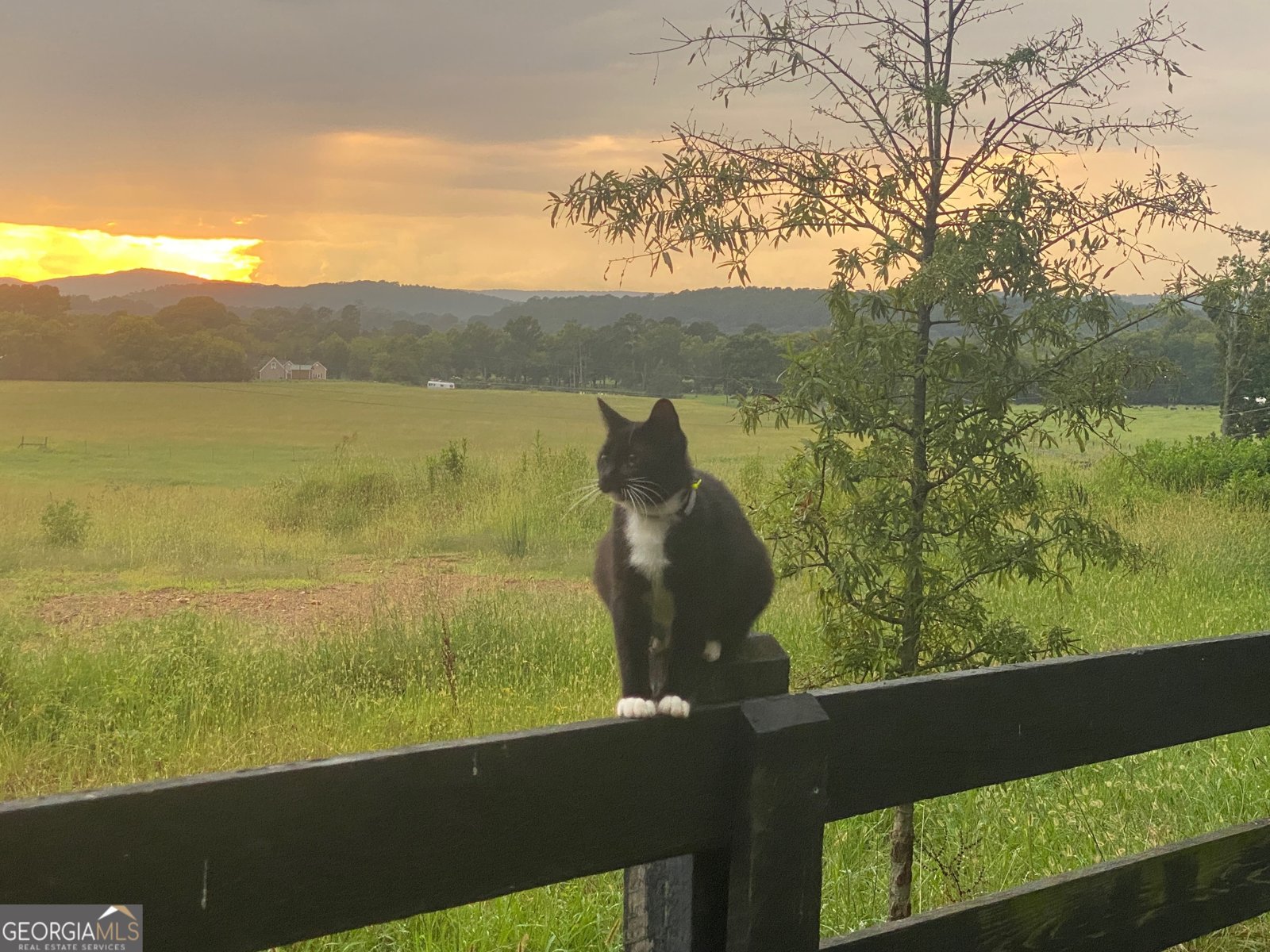 1654 A Ward Mountain Road Rome - 42