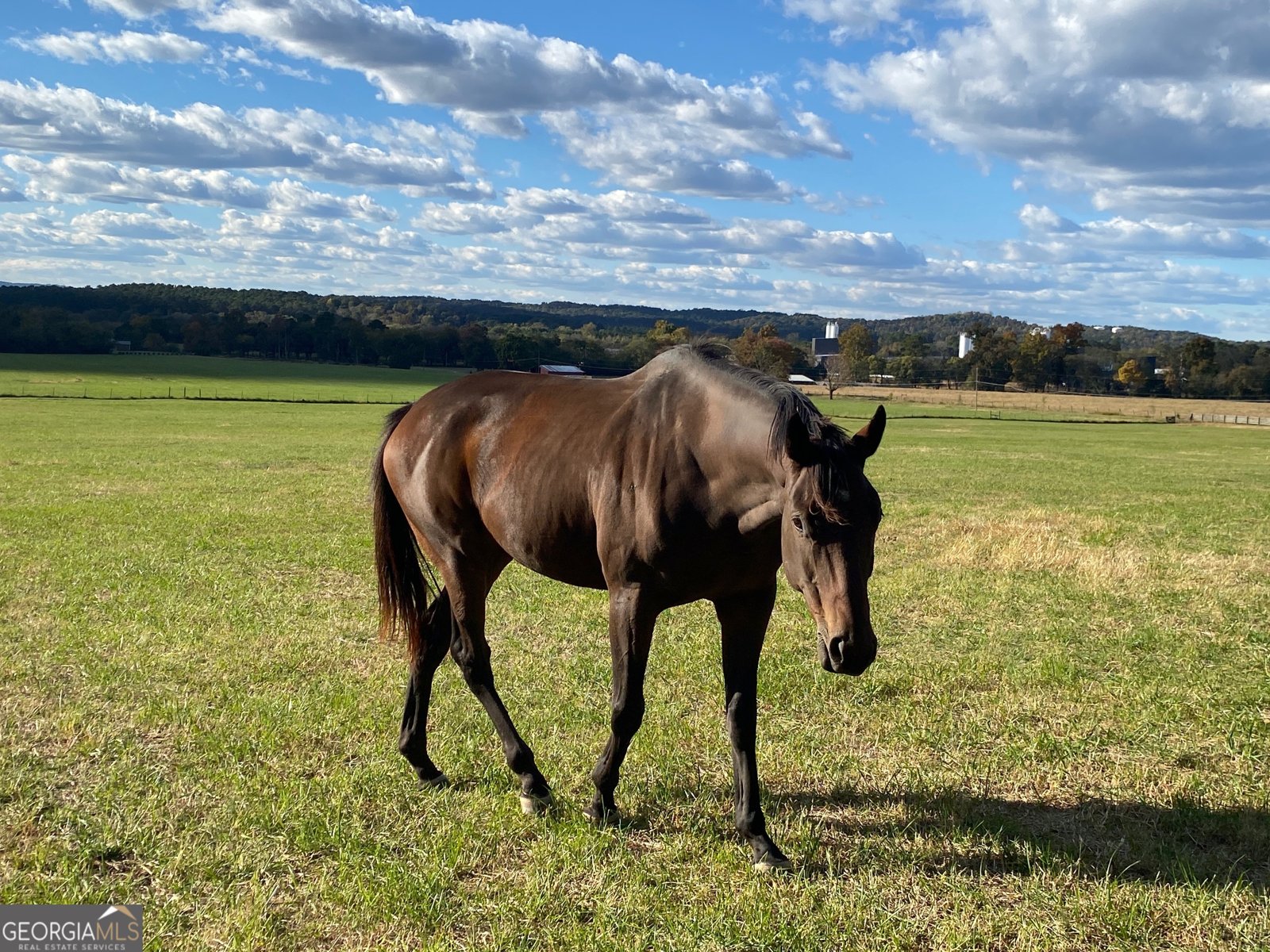 1654 A Ward Mountain Road Rome - 44