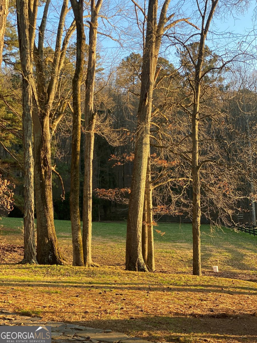 1654 A Ward Mountain Road Rome - 45