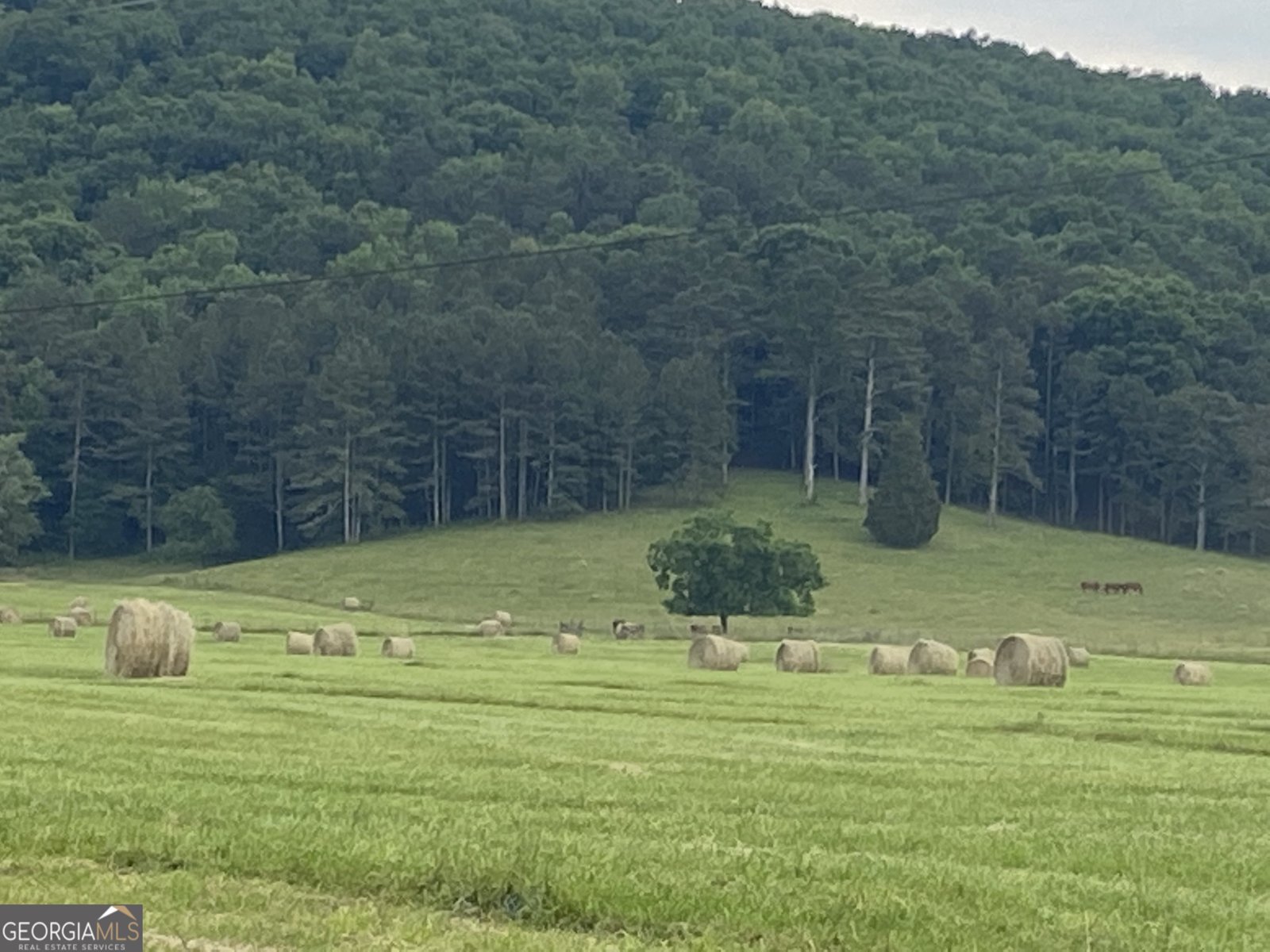 1654 A Ward Mountain Road Rome - 50