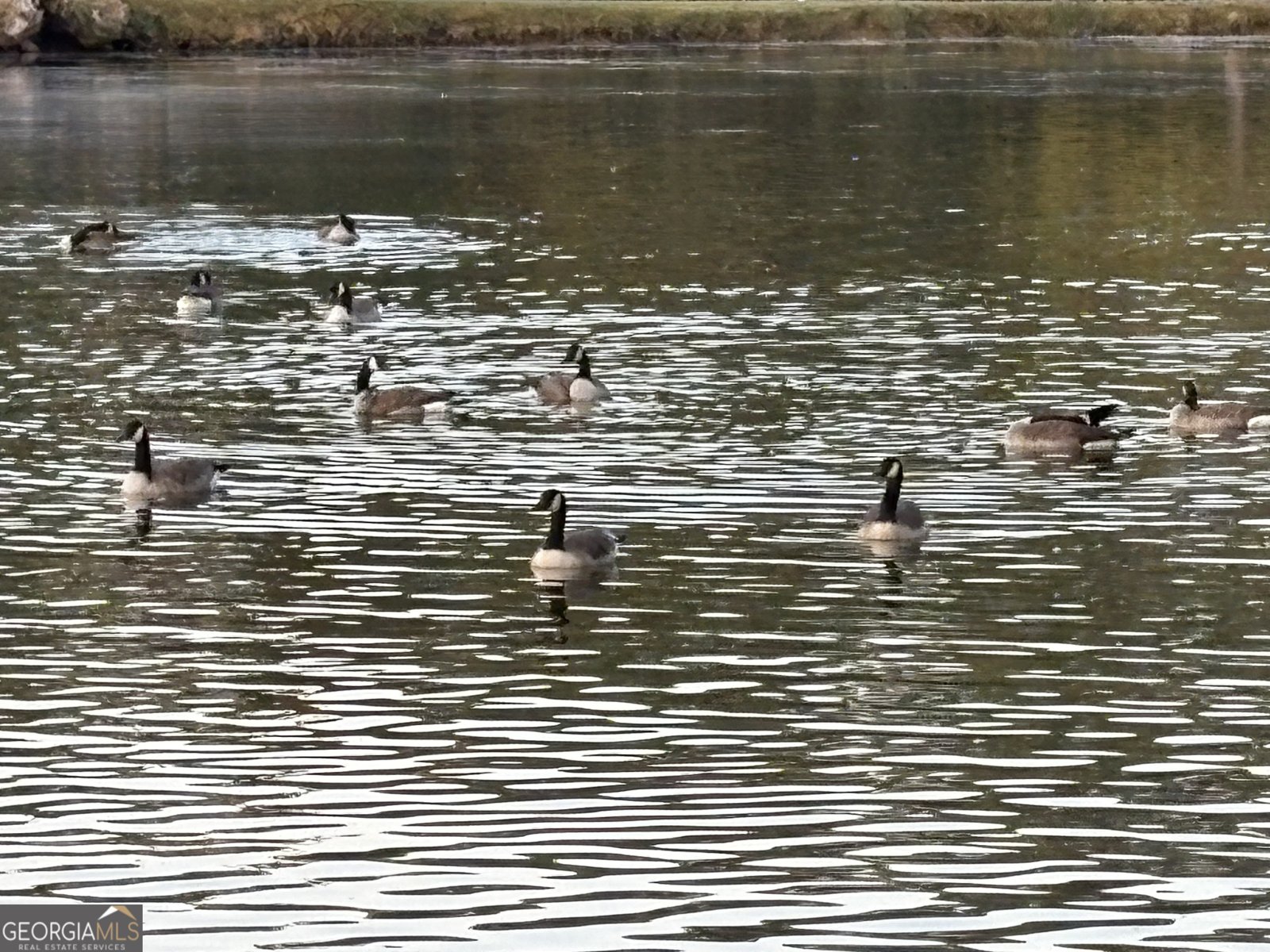 1654 A Ward Mountain Road Rome - 54