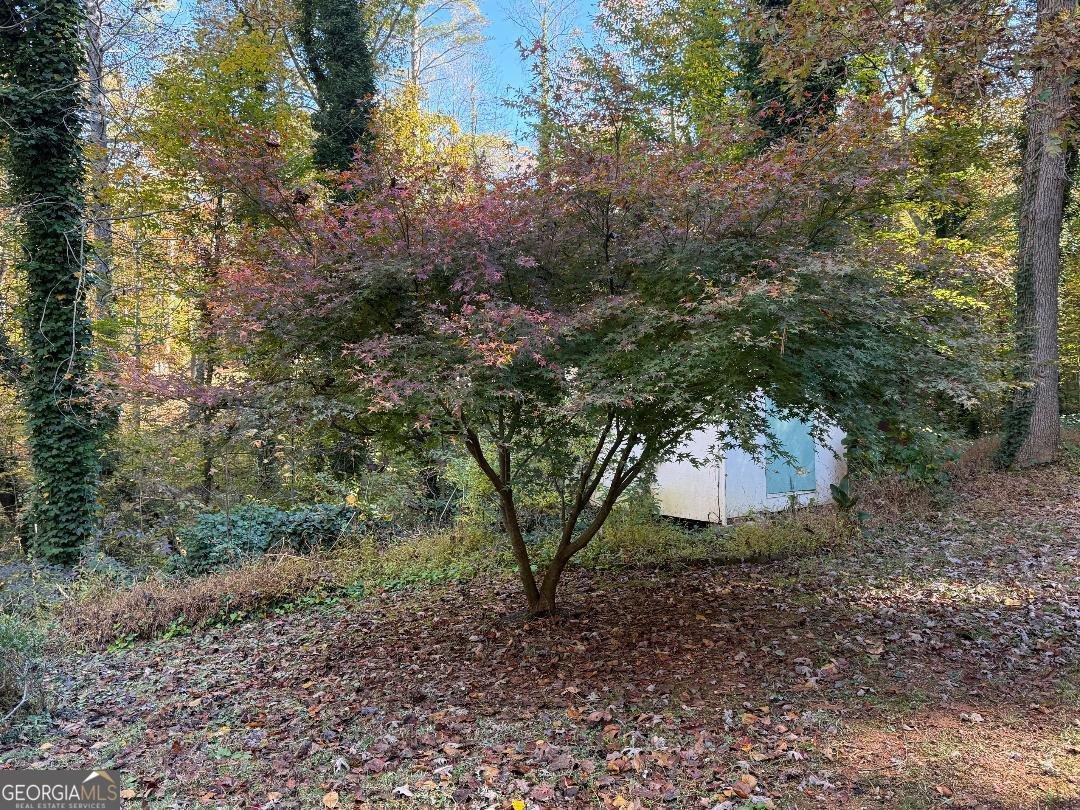 382 Sherwood Drive Clarkesville - 20