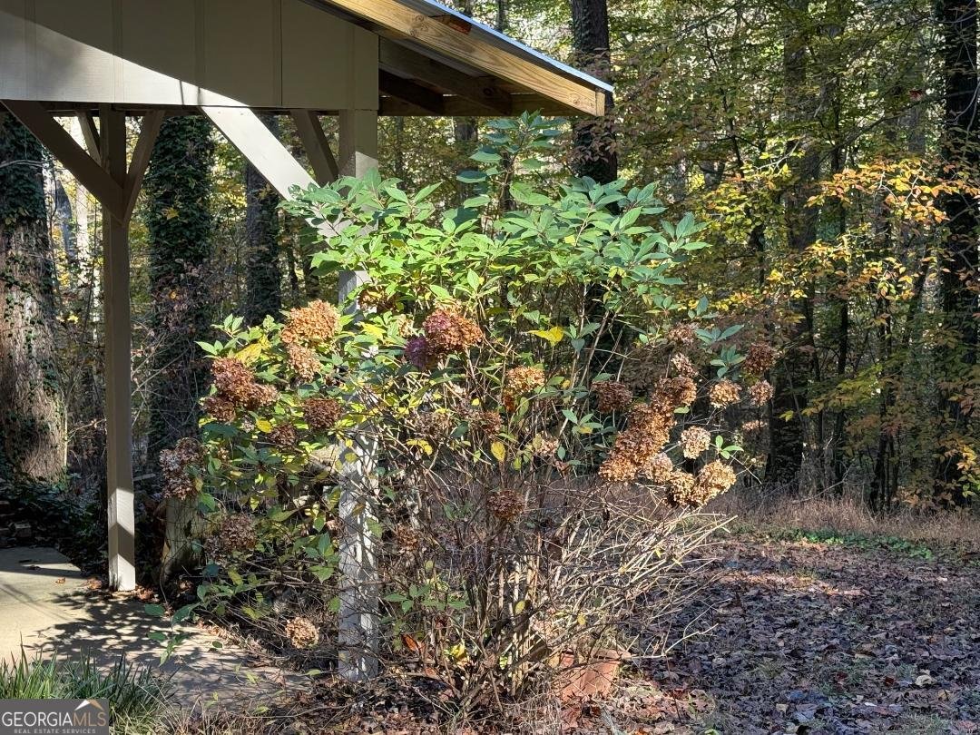 382 Sherwood Drive Clarkesville - 21