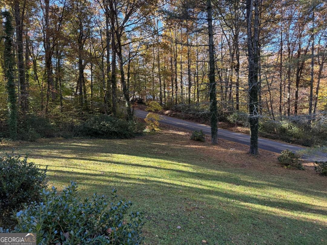 382 Sherwood Drive Clarkesville - 24