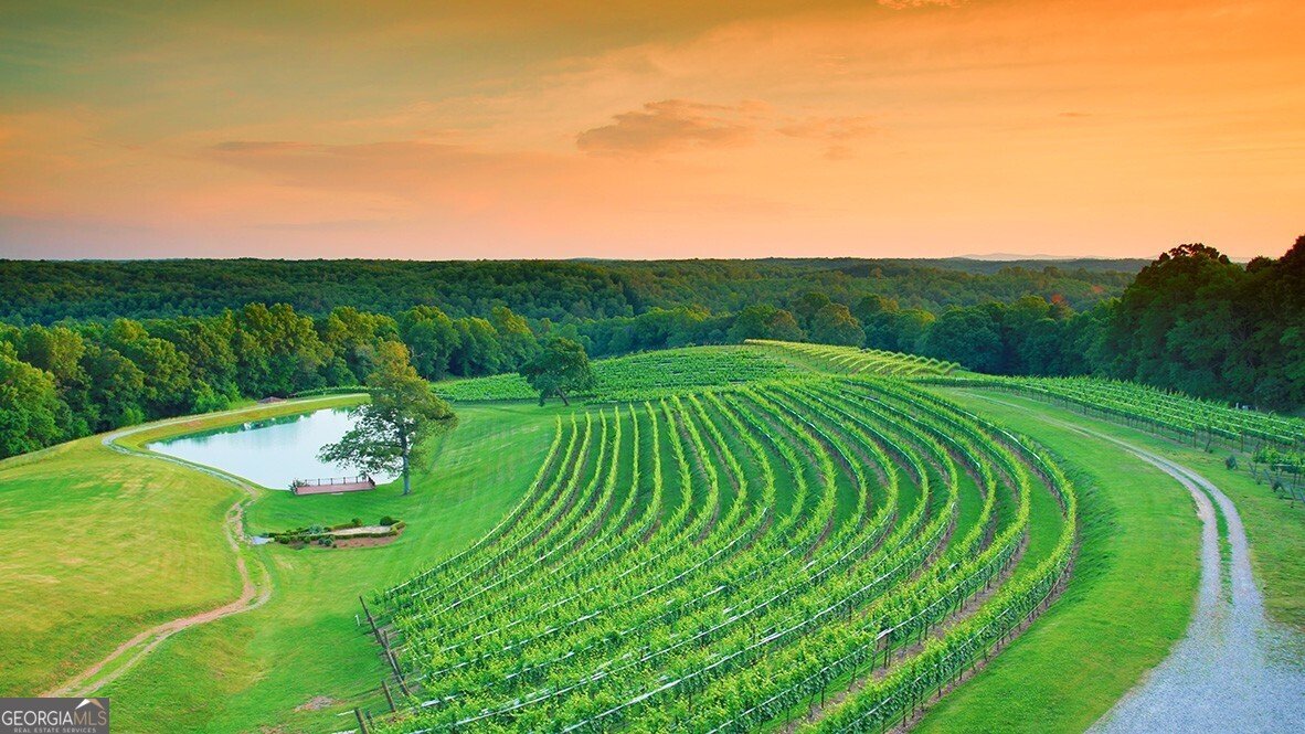 58 Rustin Ridge Dahlonega - 22