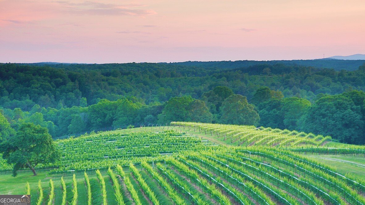 58 Rustin Ridge Dahlonega - 44