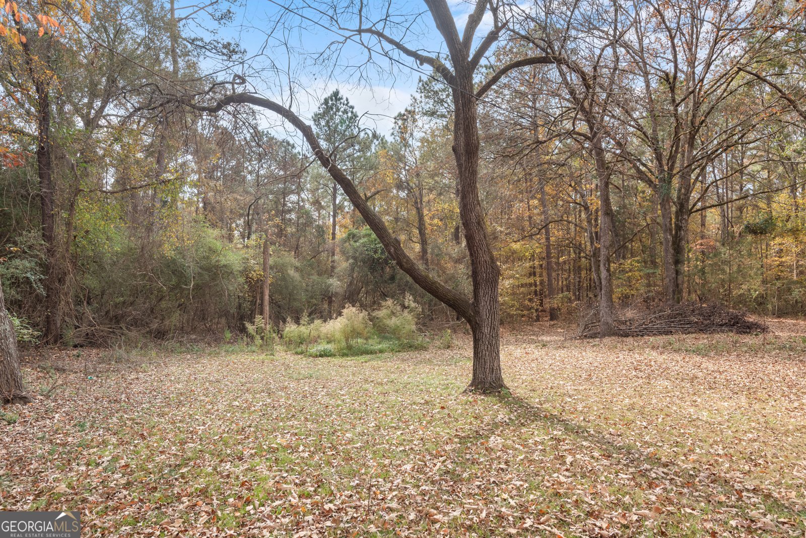 1706 Stark Road Jackson - 37