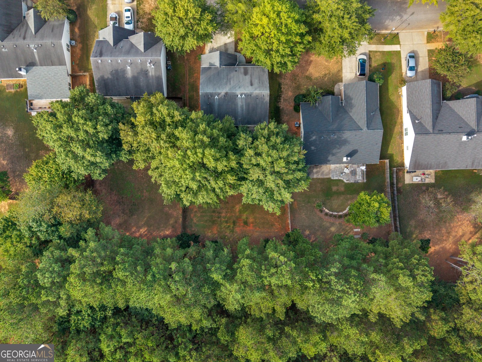 412 Eglington Trail Locust Grove - 38