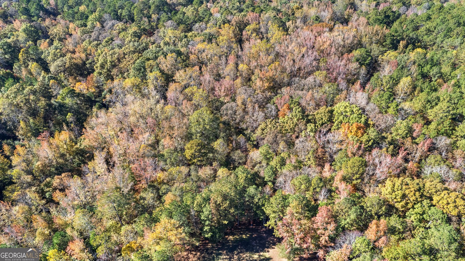 4893 New Franklin Road Hogansville - 77