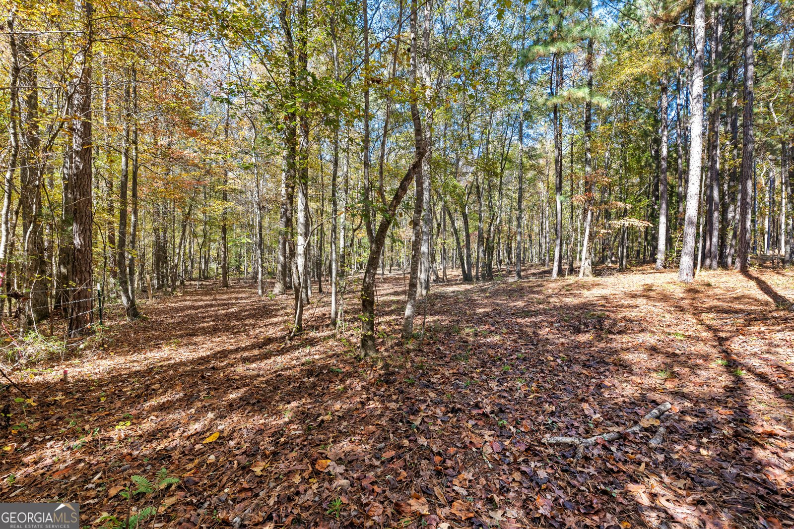 4893 New Franklin Road Hogansville - 78