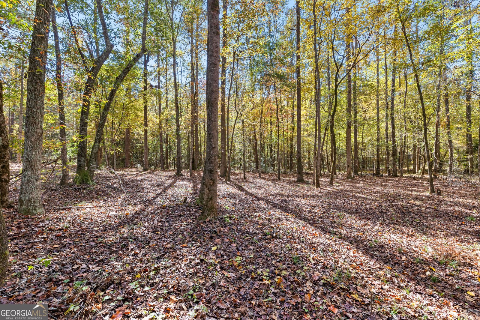 4893 New Franklin Road Hogansville - 79