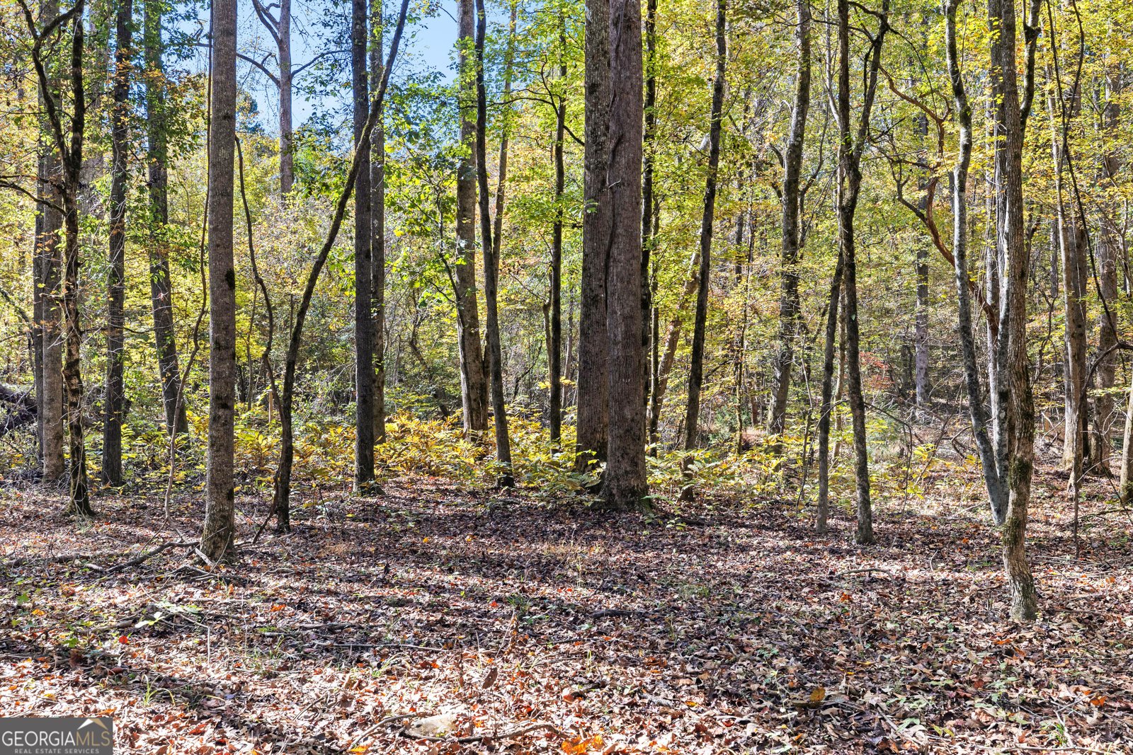 4893 New Franklin Road Hogansville - 80