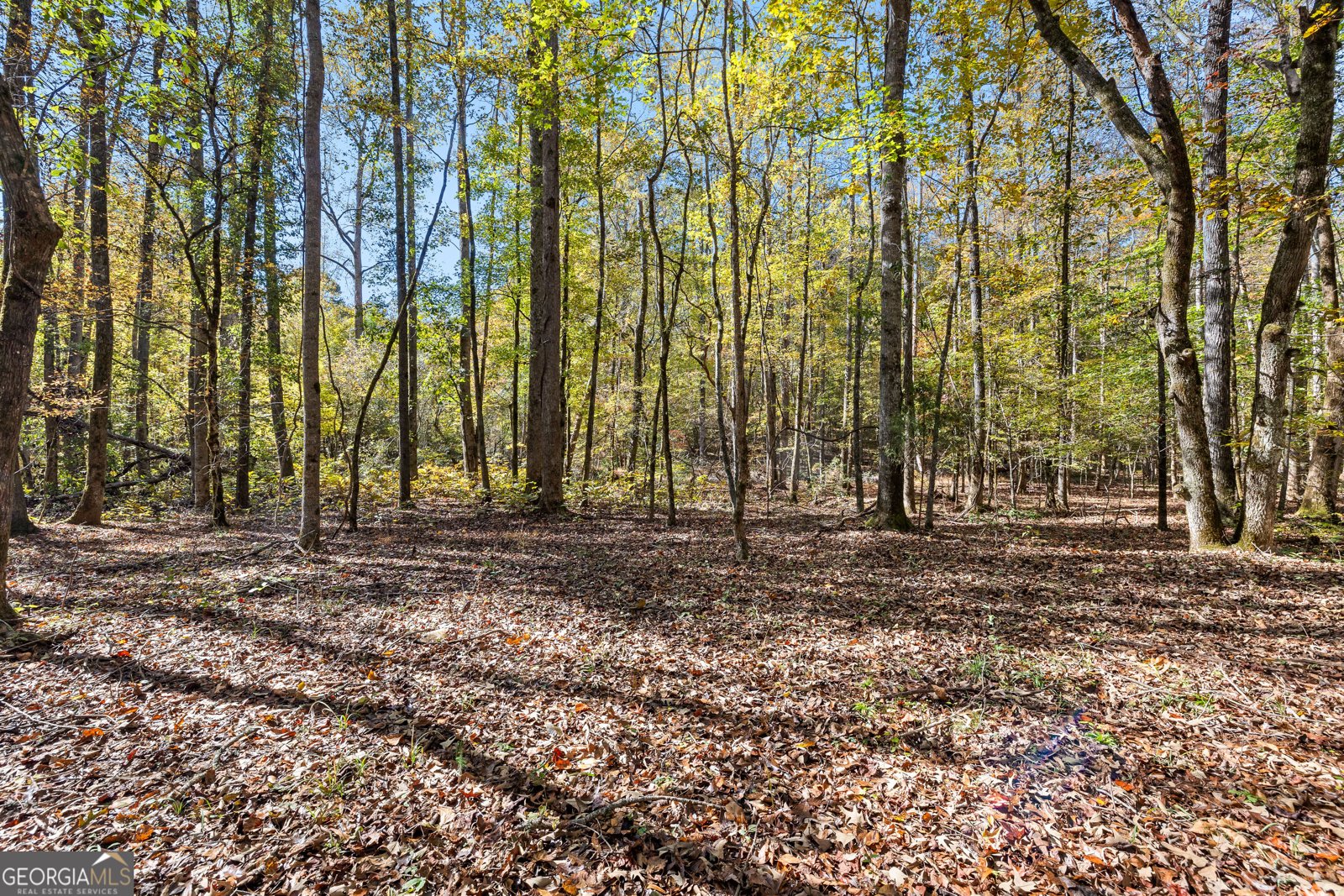 4893 New Franklin Road Hogansville - 81