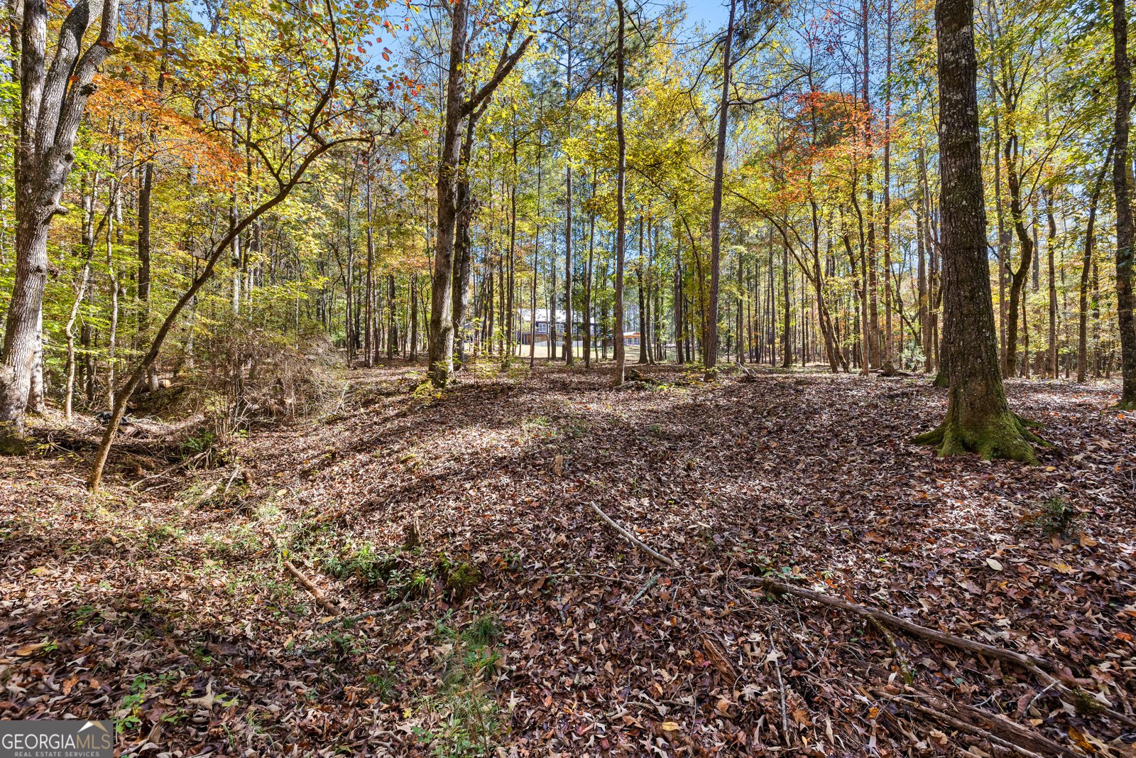 4893 New Franklin Road Hogansville - 82