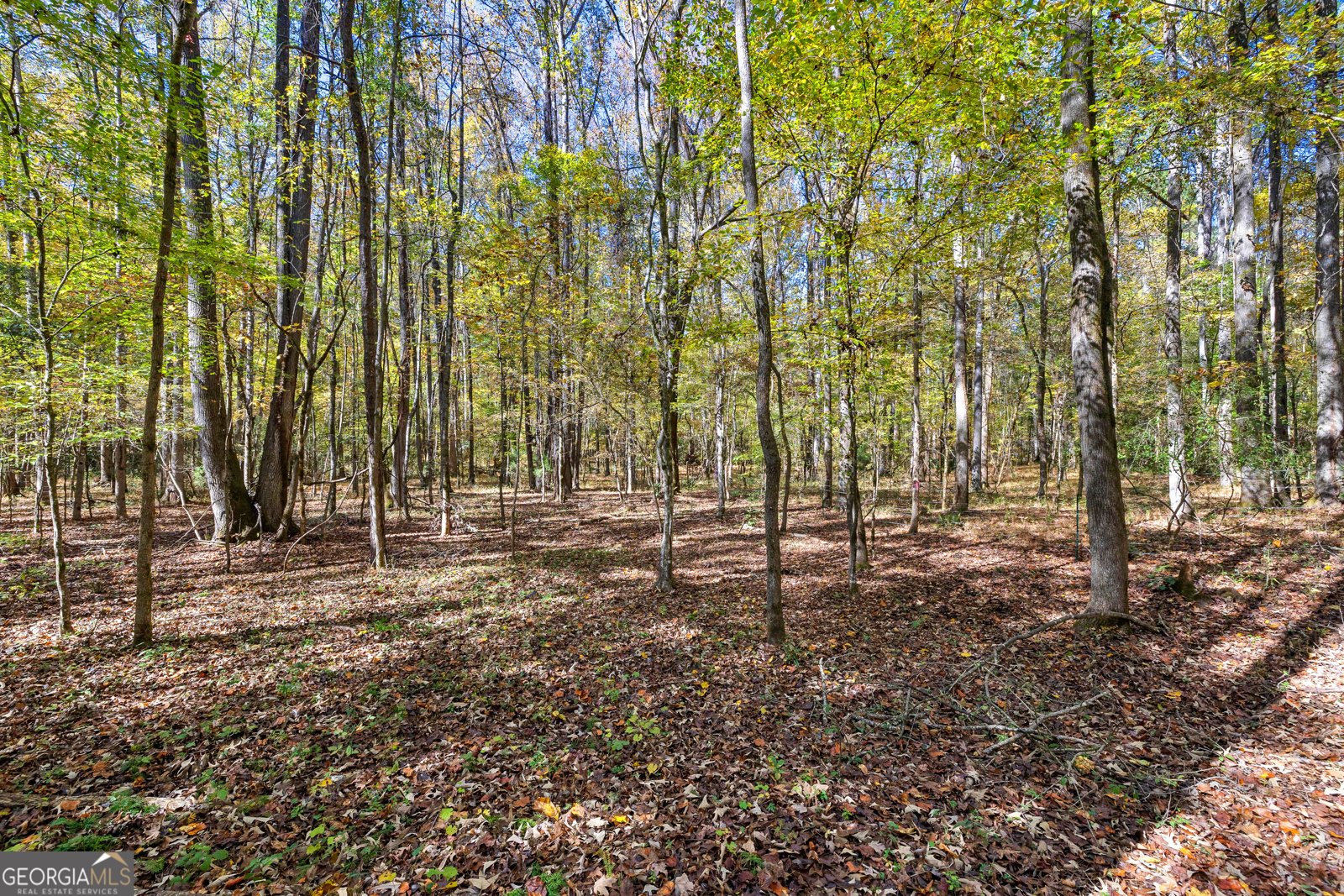 4893 New Franklin Road Hogansville - 83