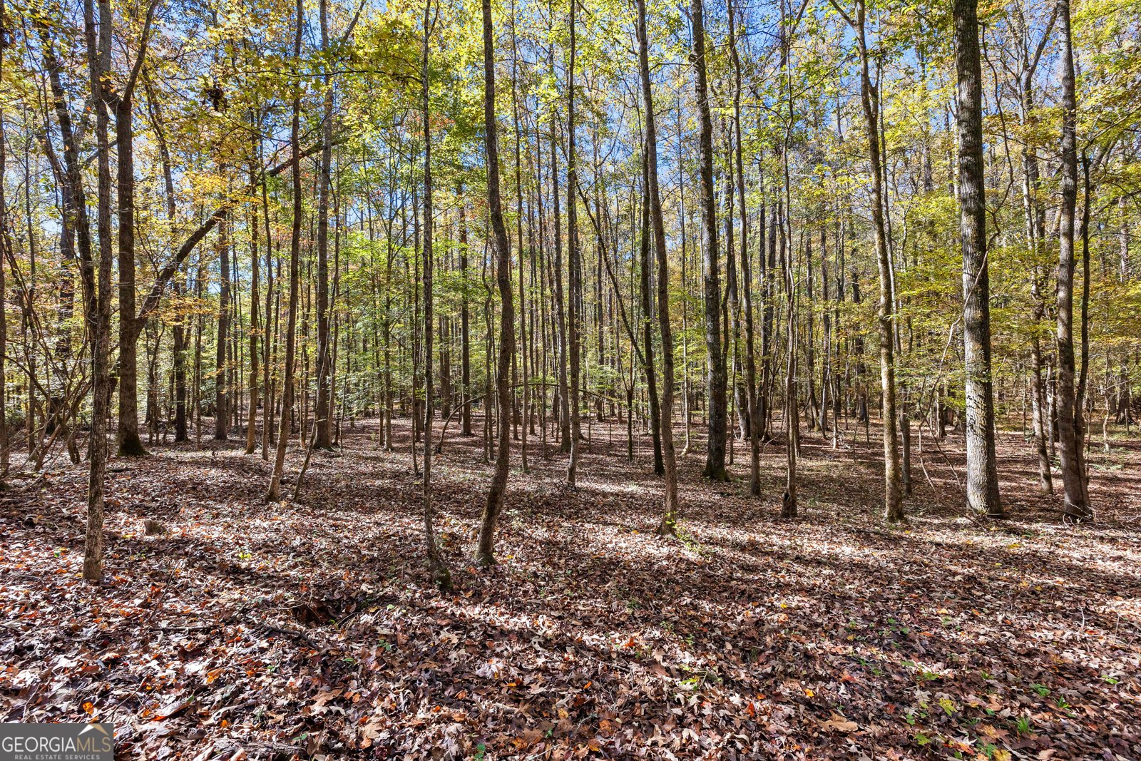 4893 New Franklin Road Hogansville - 84