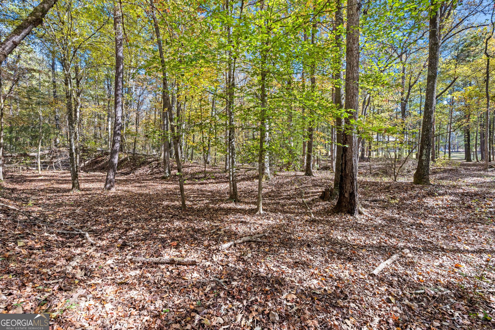 4893 New Franklin Road Hogansville - 85