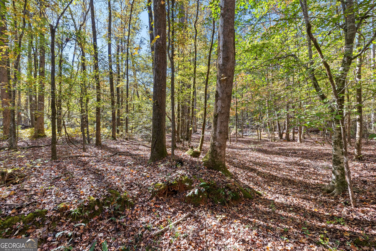 4893 New Franklin Road Hogansville - 86