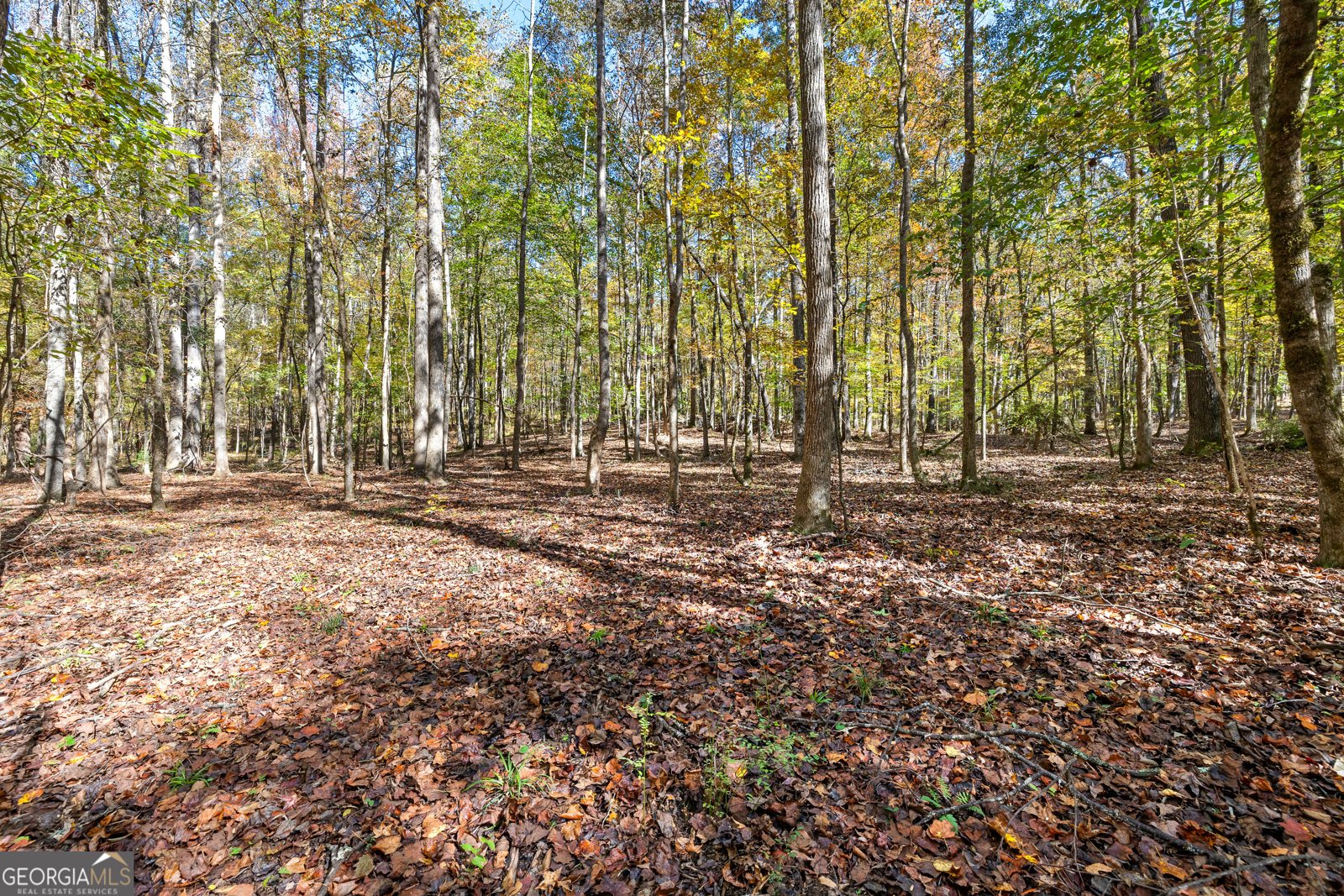 4893 New Franklin Road Hogansville - 87