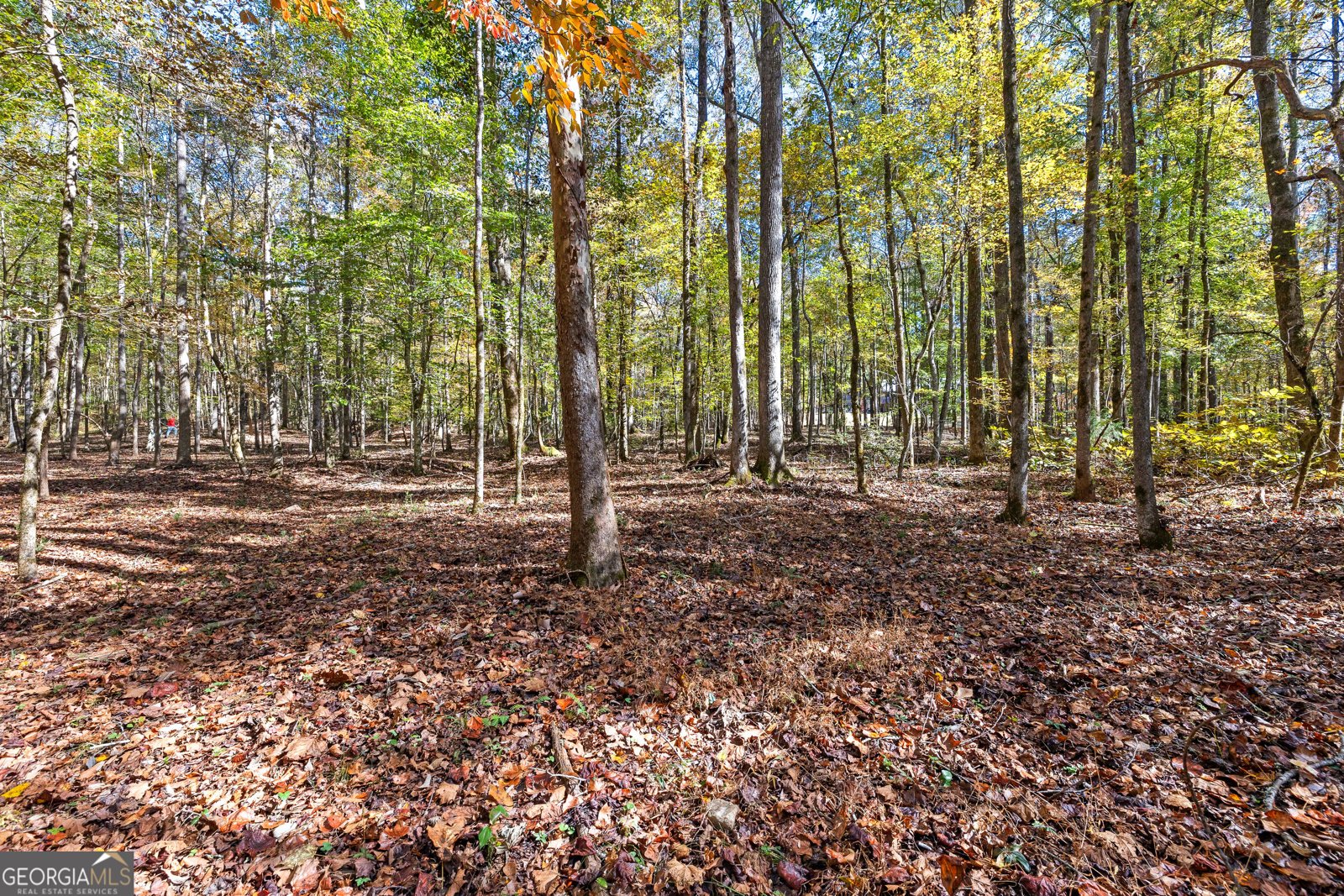 4893 New Franklin Road Hogansville - 88