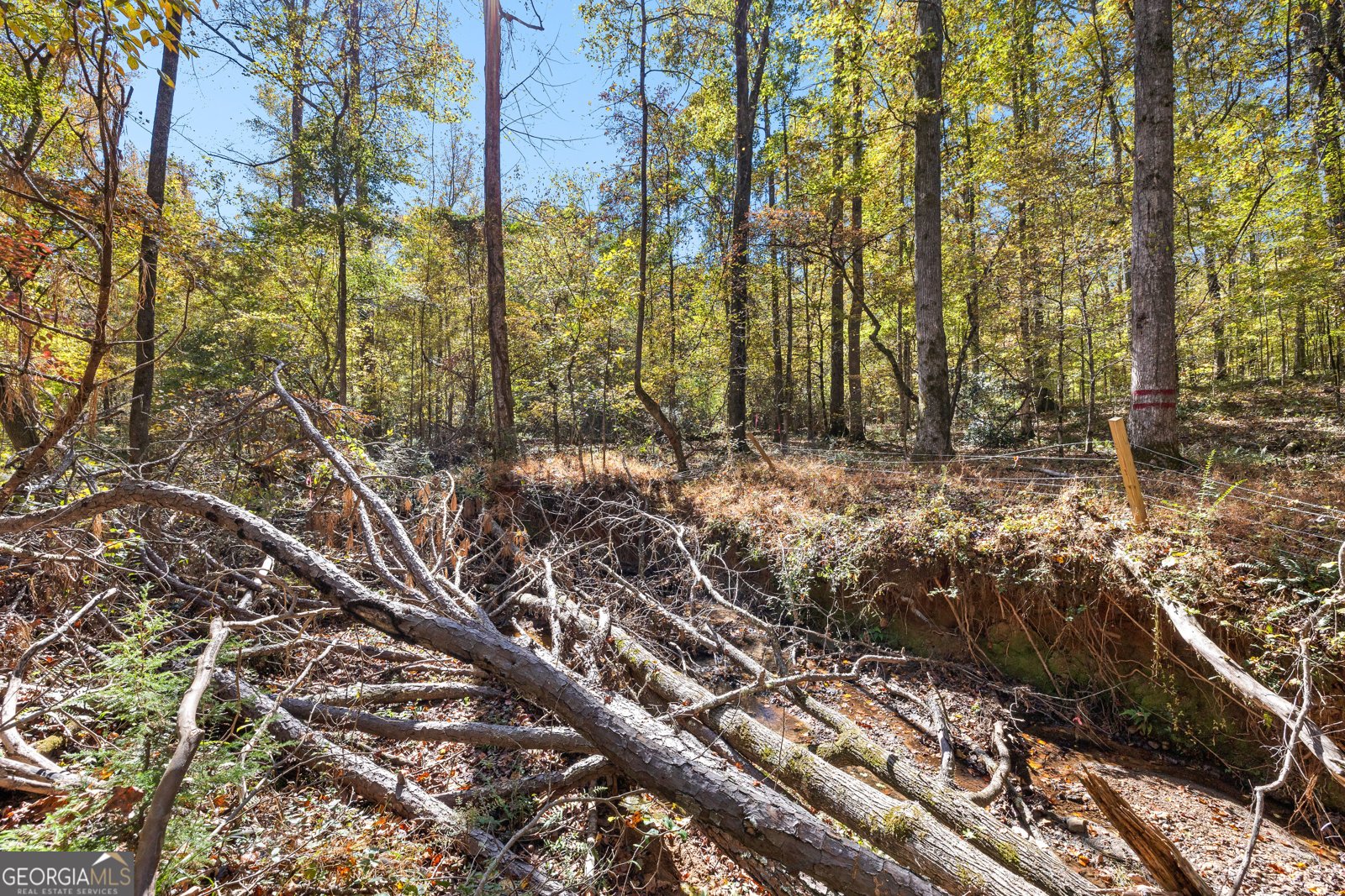 4893 New Franklin Road Hogansville - 89