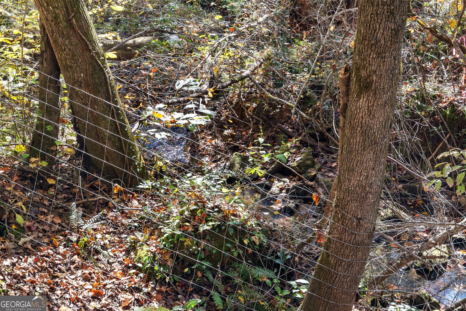 4893 New Franklin Road Hogansville - 90