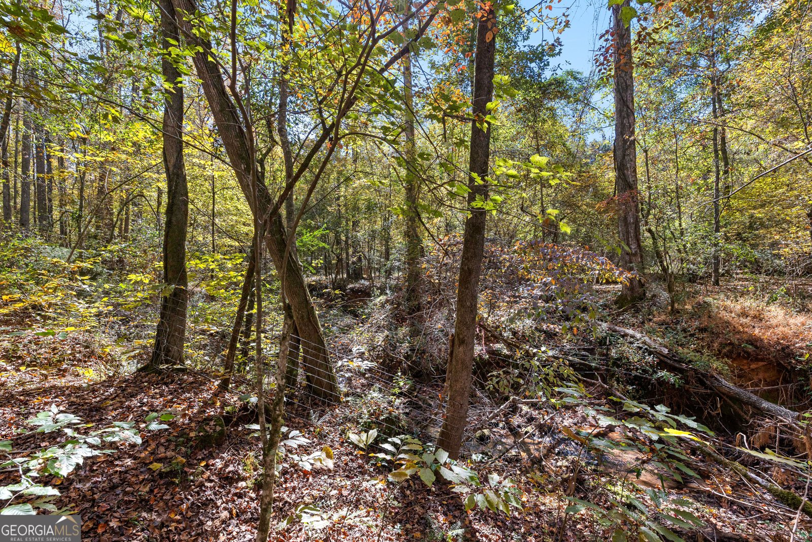 4893 New Franklin Road Hogansville - 91