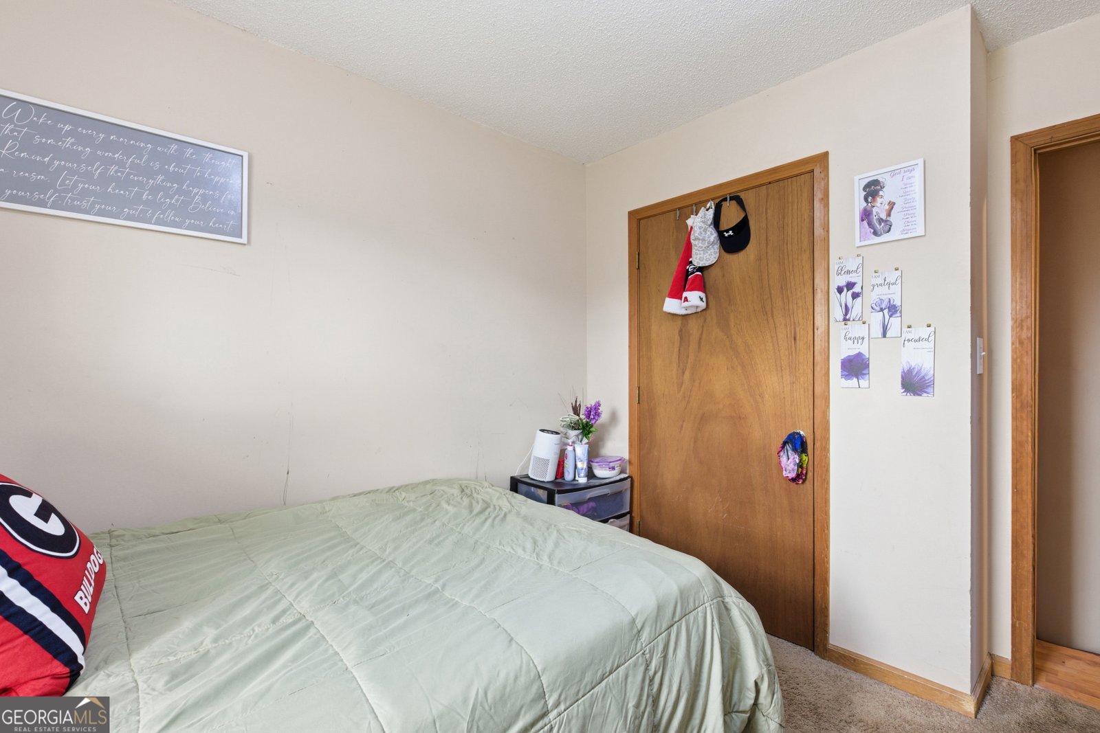 989 Grady School Road Canon - 15