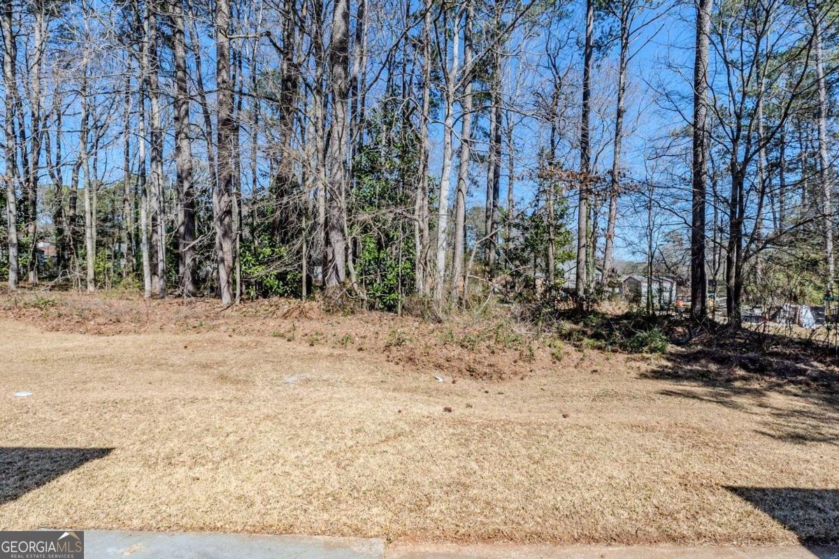 2419 Leslie Brook Drive Decatur - 15