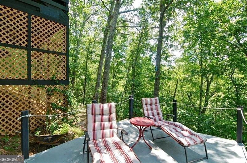 115 RABBIT Dawsonville - 9