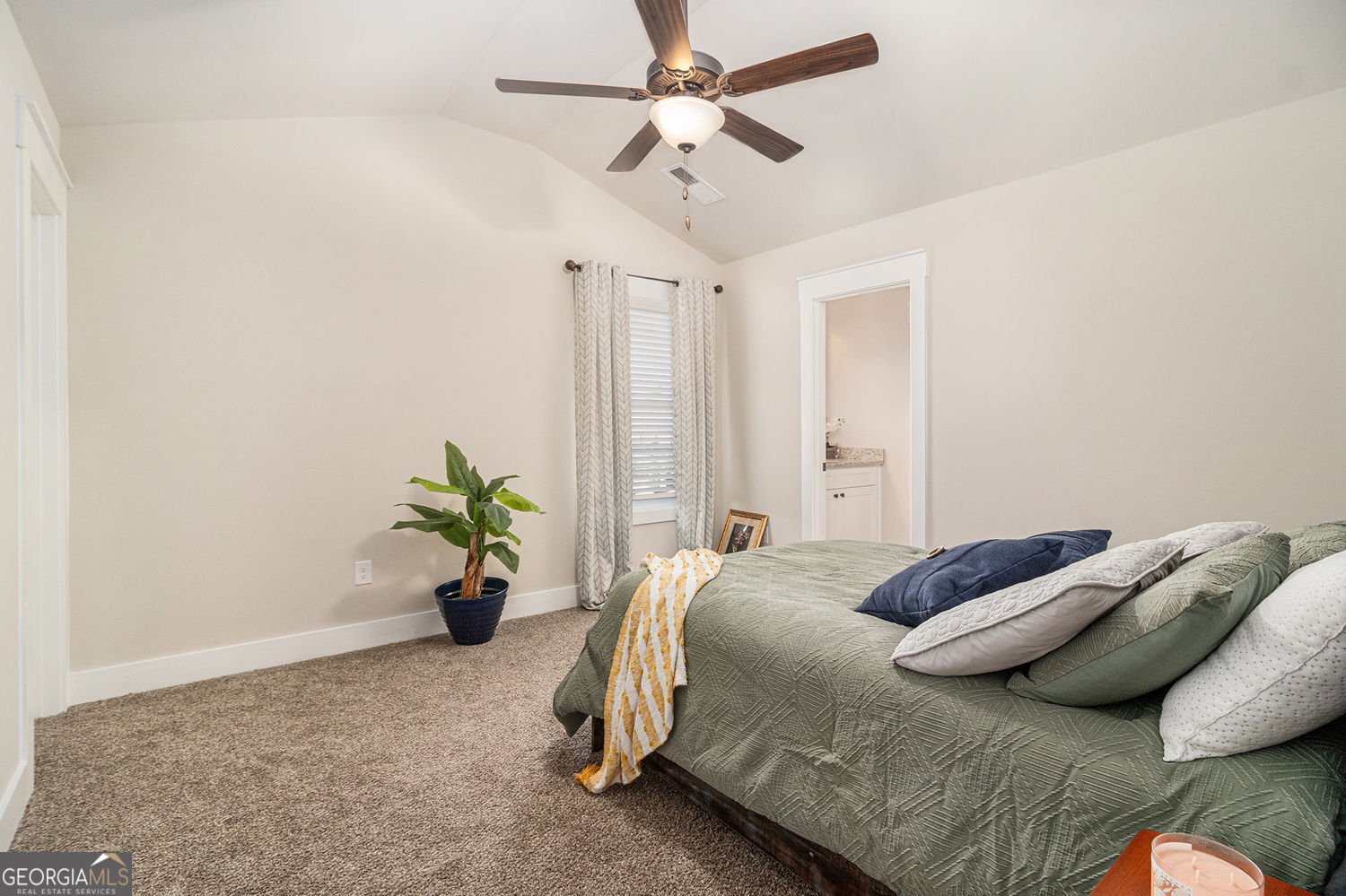 106 Graceton Farms Drive Senoia - 20