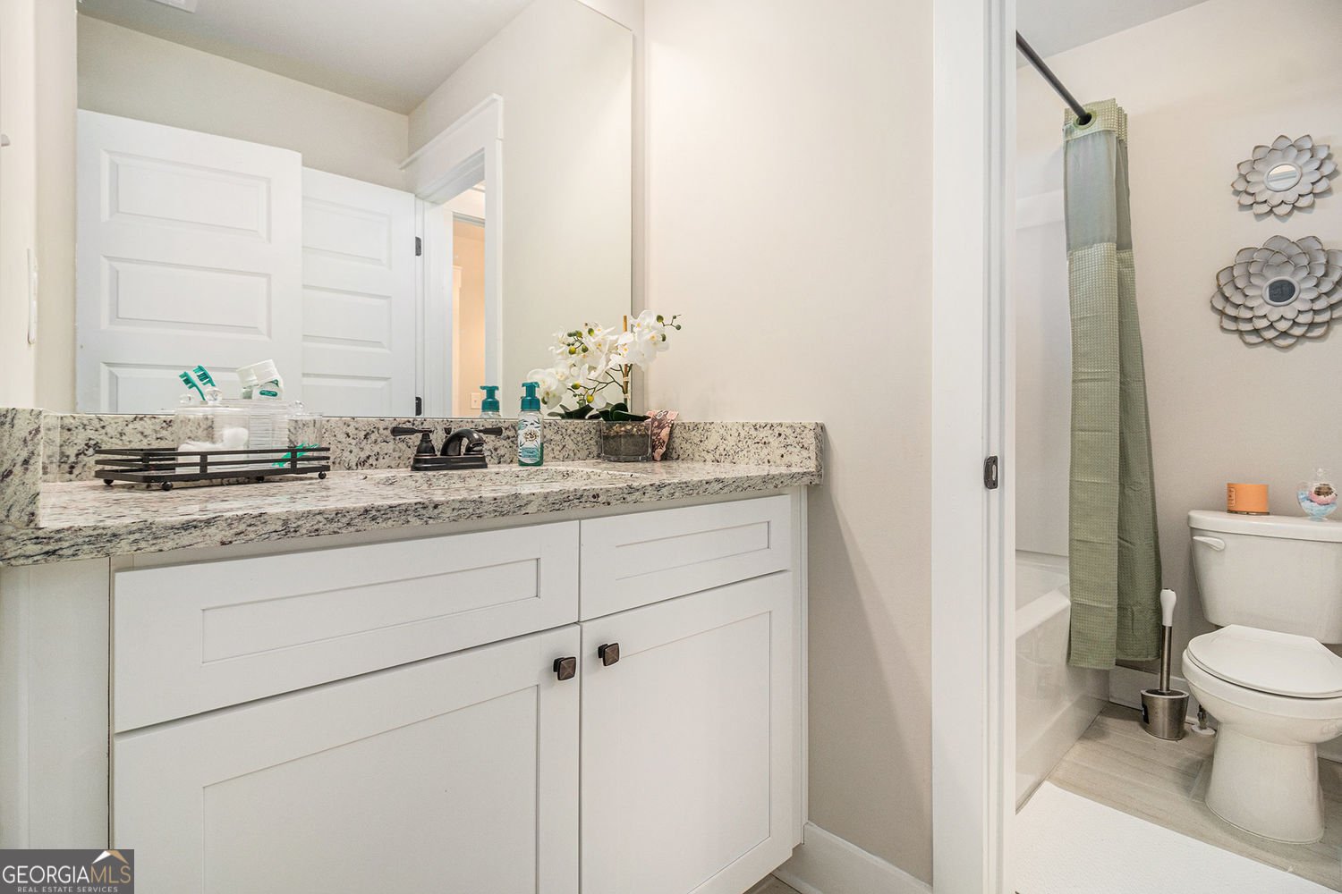 106 Graceton Farms Drive Senoia - 4