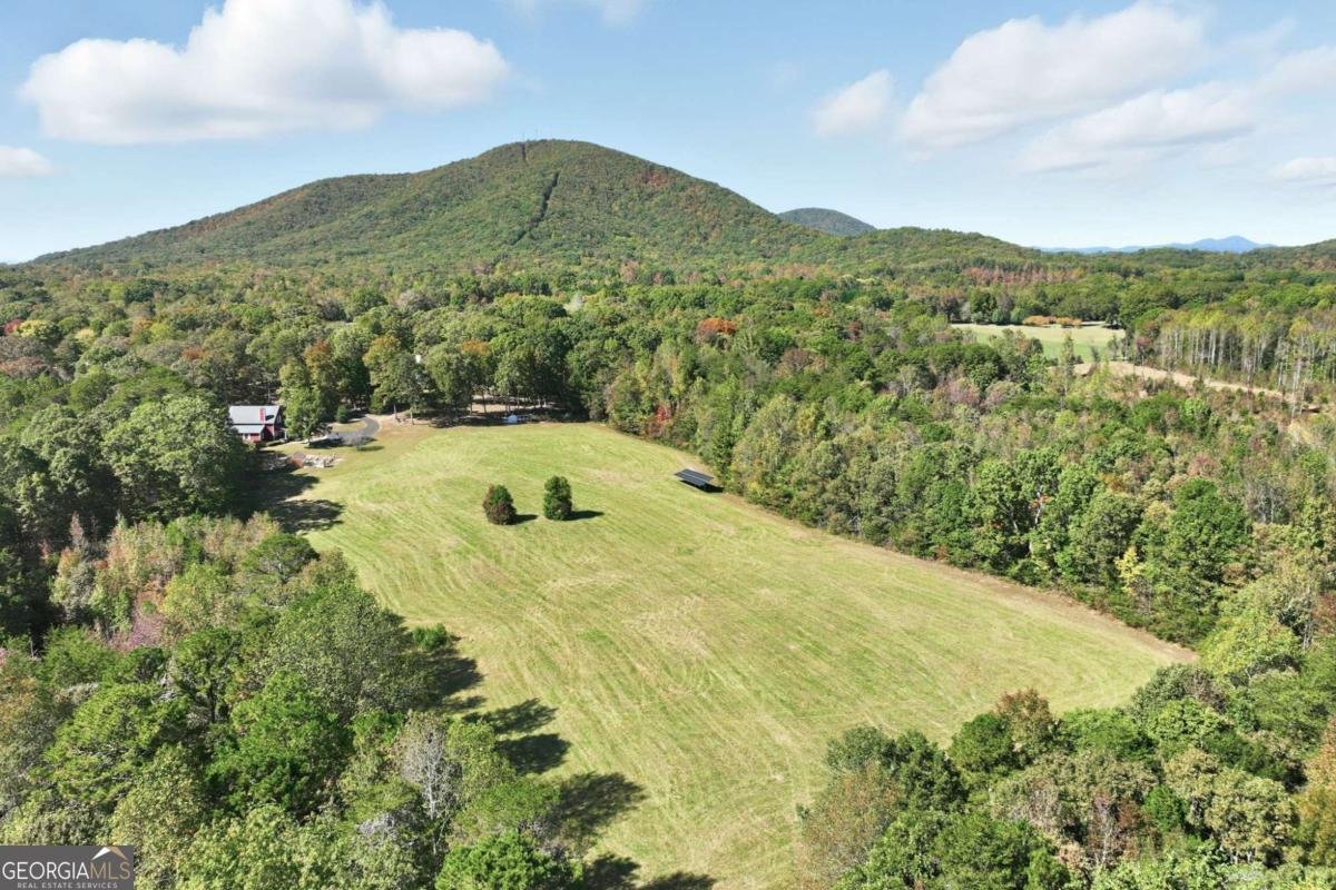 6752 Shoal Creek Road Clermont - Photo 68