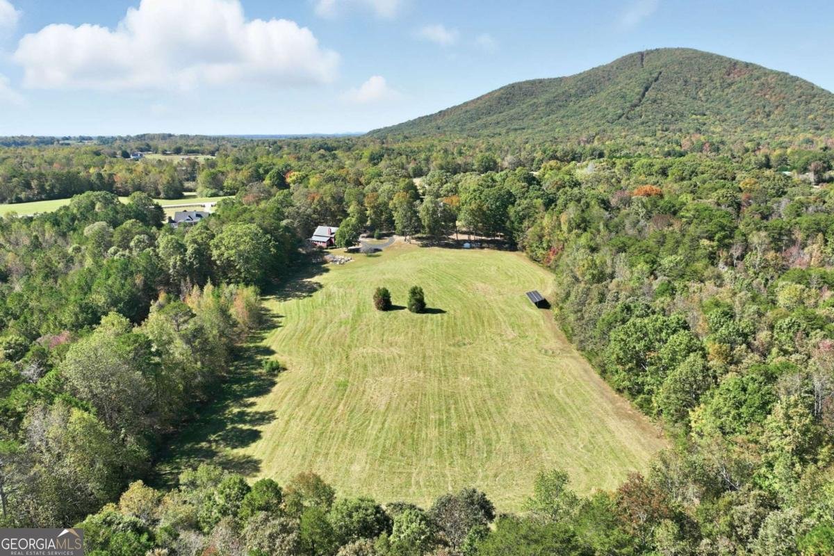 6752 Shoal Creek Road Clermont - Photo 69