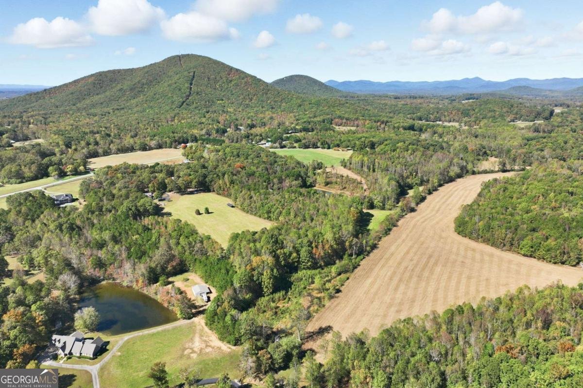 6752 Shoal Creek Road Clermont - Photo 70