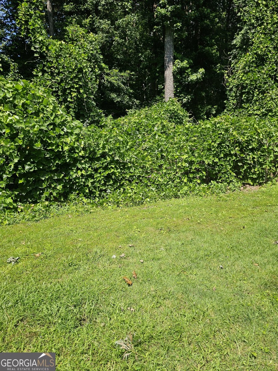 6354 Shannon Parkway Union City - 8