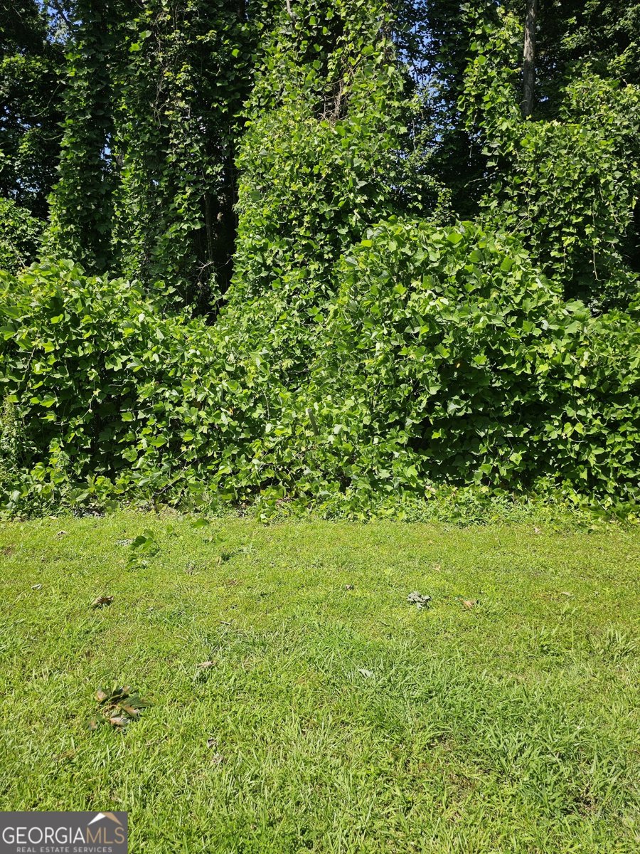 6354 Shannon Parkway Union City - 9