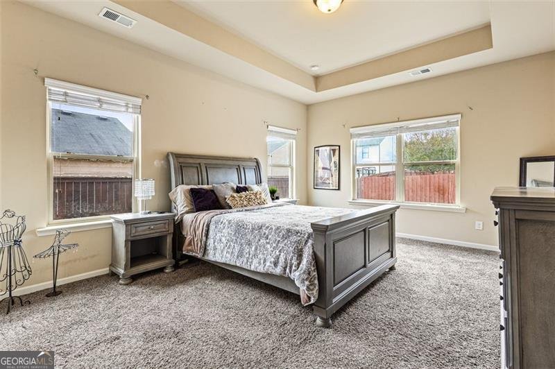 2979 DUNGENESS Drive Douglasville - 13