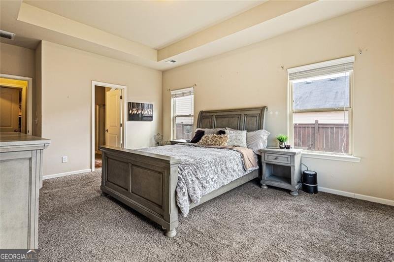 2979 DUNGENESS Drive Douglasville - 14