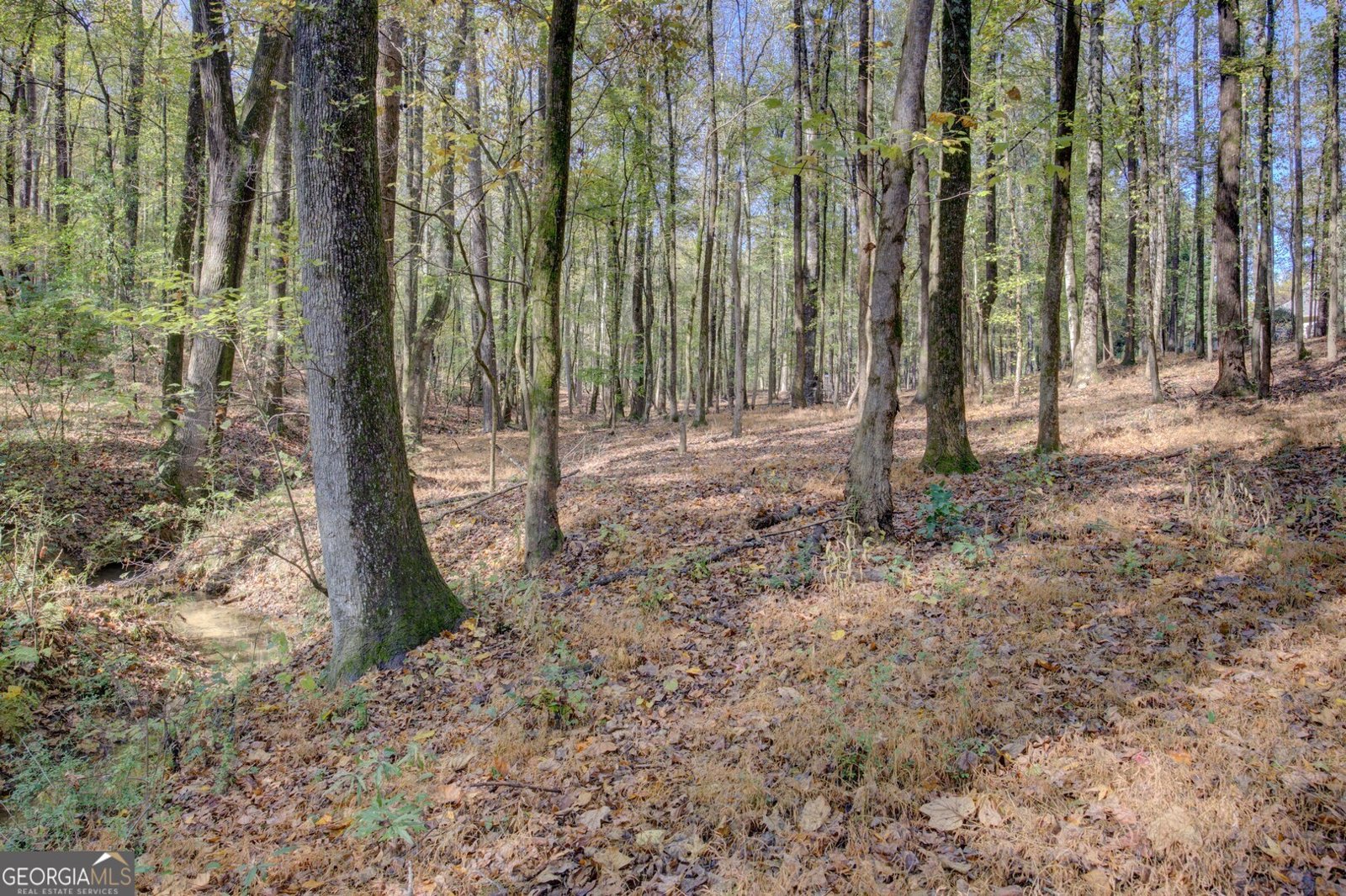 2615 Sandy Creek Circle Loganville - 2