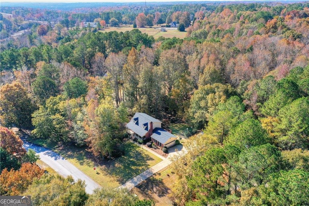 2615 Sandy Creek Circle Loganville - 6