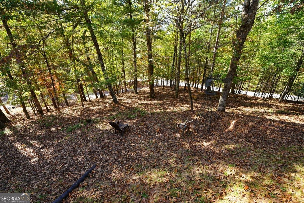 23 Pacer Court Ellijay - 4