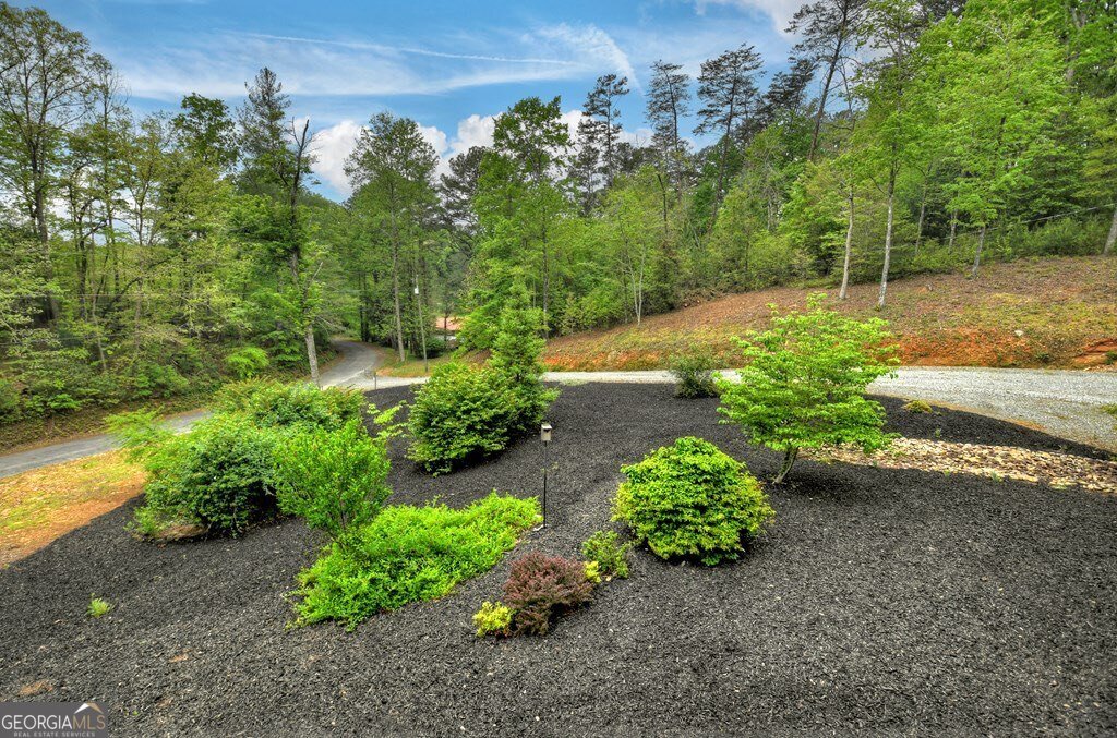 293 James Drive Ellijay - 36