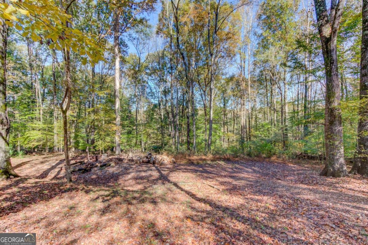 153 Cherokee Trail Hoschton - 43