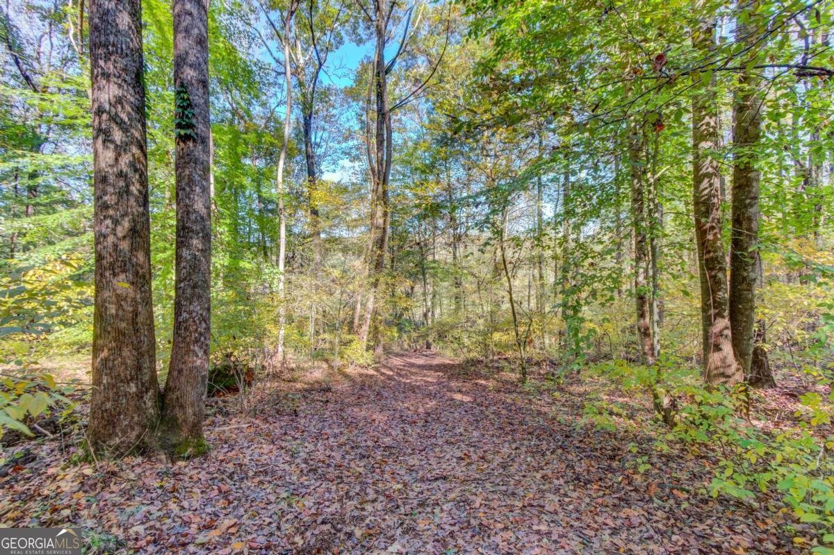 153 Cherokee Trail Hoschton - 44