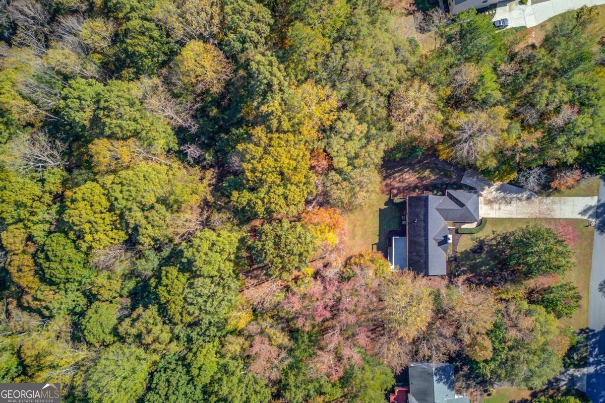 153 Cherokee Trail Hoschton - 45