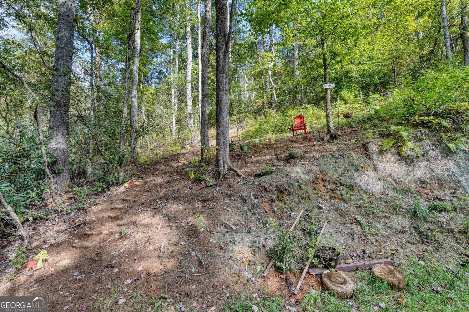 63 Laras Peace Lane Blairsville - 1